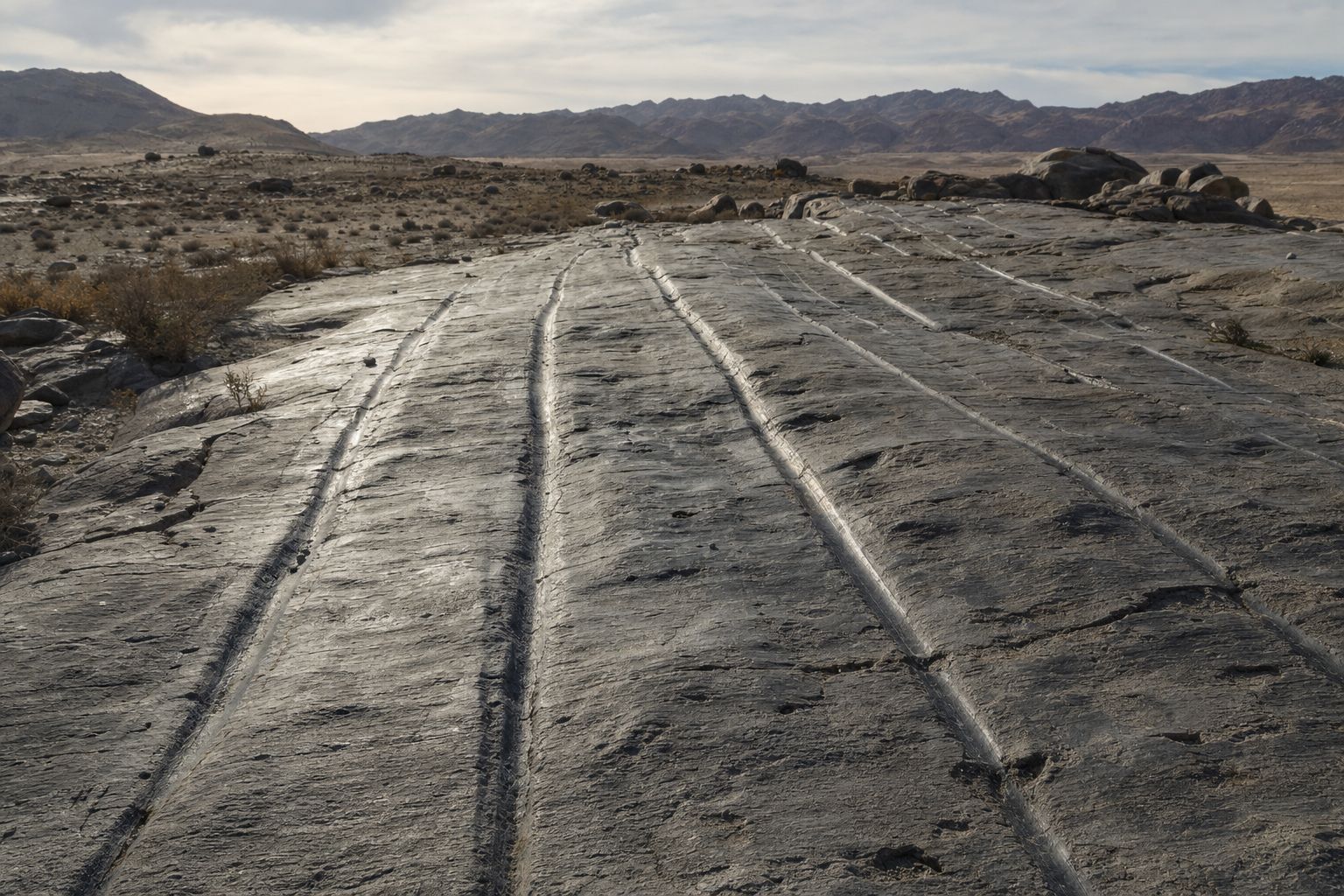 Rock polished and gouged by ice, now in India, Brazil and central Africa.